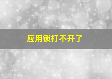 应用锁打不开了