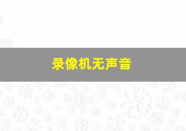 录像机无声音