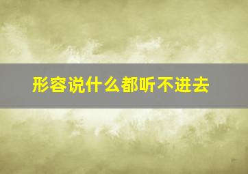 形容说什么都听不进去