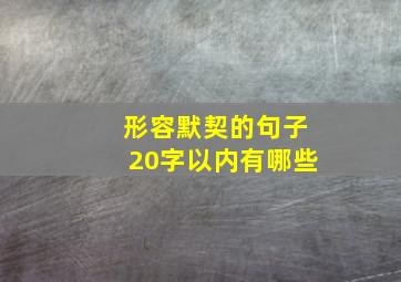 形容默契的句子20字以内有哪些