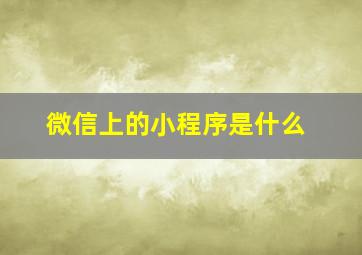 微信上的小程序是什么