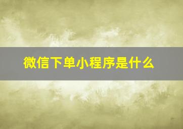 微信下单小程序是什么