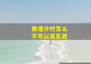 微信分付怎么不可以买东西