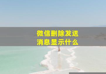 微信删除发送消息显示什么