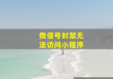 微信号封禁无法访问小程序