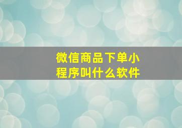 微信商品下单小程序叫什么软件