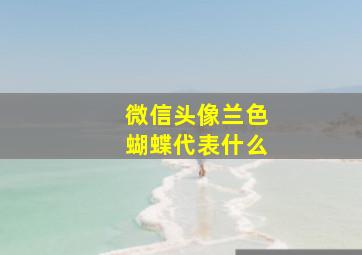 微信头像兰色蝴蝶代表什么