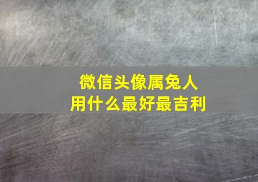 微信头像属兔人用什么最好最吉利