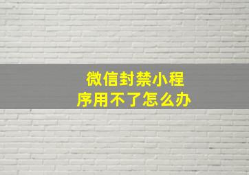 微信封禁小程序用不了怎么办