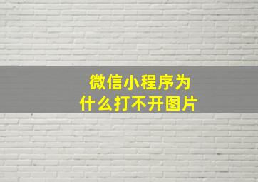 微信小程序为什么打不开图片