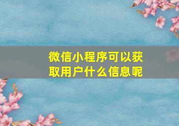 微信小程序可以获取用户什么信息呢