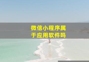 微信小程序属于应用软件吗