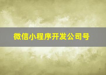 微信小程序开发公司号