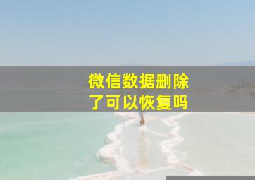 微信数据删除了可以恢复吗