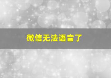 微信无法语音了