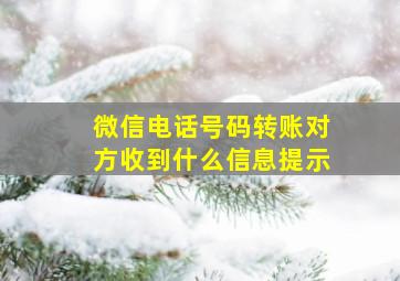 微信电话号码转账对方收到什么信息提示