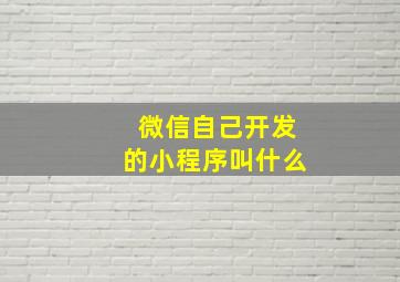 微信自己开发的小程序叫什么