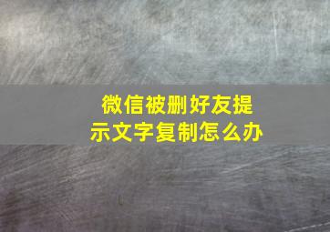 微信被删好友提示文字复制怎么办