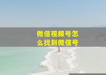 微信视频号怎么找到微信号