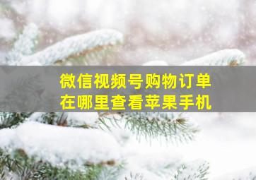 微信视频号购物订单在哪里查看苹果手机