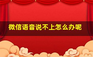 微信语音说不上怎么办呢