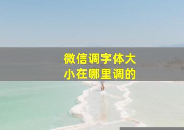 微信调字体大小在哪里调的