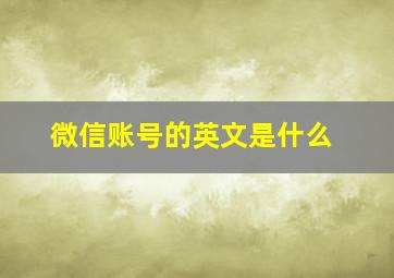 微信账号的英文是什么