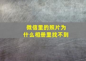 微信里的照片为什么相册里找不到