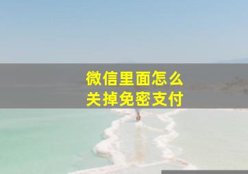 微信里面怎么关掉免密支付