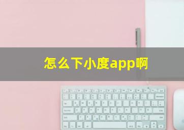 怎么下小度app啊