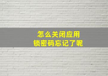 怎么关闭应用锁密码忘记了呢