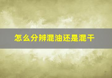 怎么分辨混油还是混干