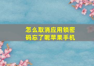 怎么取消应用锁密码忘了呢苹果手机