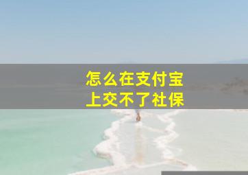 怎么在支付宝上交不了社保