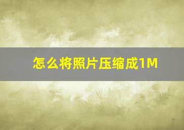 怎么将照片压缩成1M