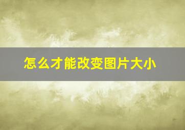 怎么才能改变图片大小