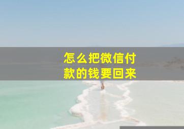 怎么把微信付款的钱要回来