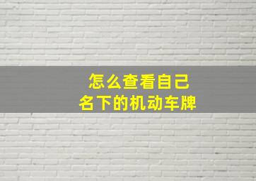 怎么查看自己名下的机动车牌