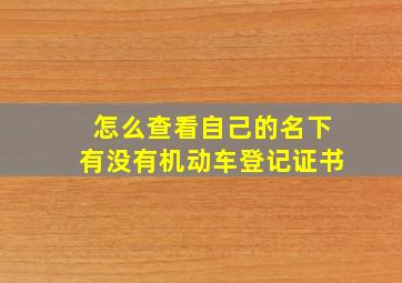 怎么查看自己的名下有没有机动车登记证书