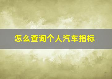 怎么查询个人汽车指标