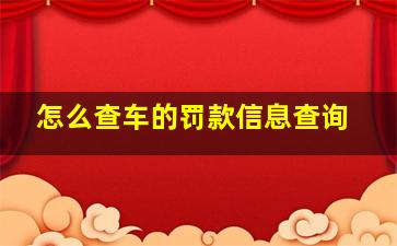 怎么查车的罚款信息查询