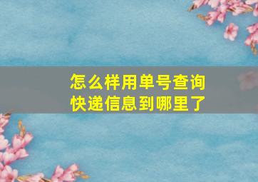 怎么样用单号查询快递信息到哪里了