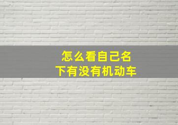 怎么看自己名下有没有机动车