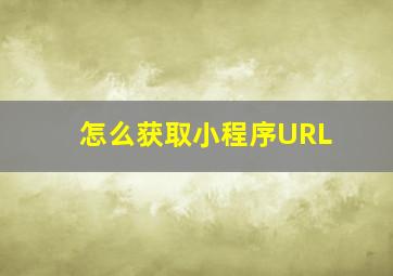 怎么获取小程序URL