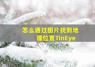 怎么通过图片找到地理位置TinEye