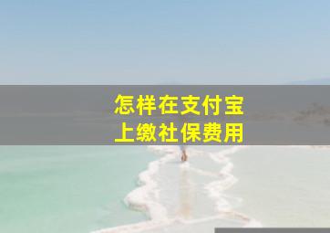 怎样在支付宝上缴社保费用