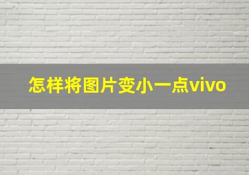 怎样将图片变小一点vivo