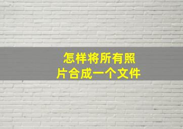 怎样将所有照片合成一个文件