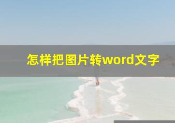 怎样把图片转word文字