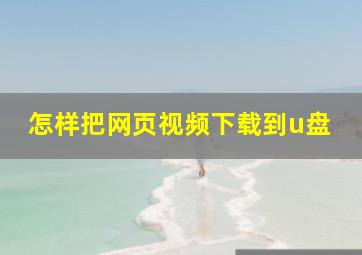 怎样把网页视频下载到u盘